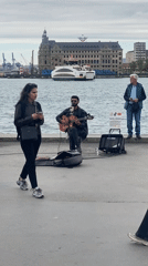 Street musician performs on Kadıköy waterfront as seagulls gather