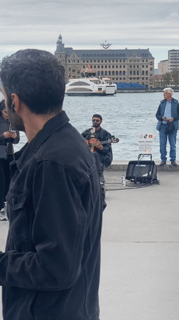 Street musician performs on Kadıköy waterfront as seagulls gather
