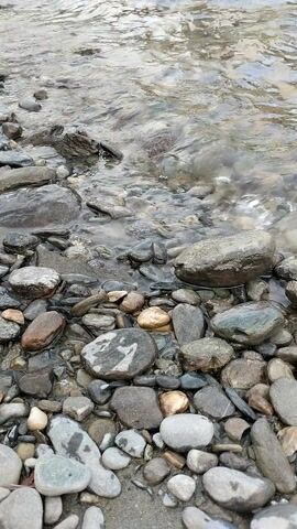 A close-up, overhead shot shows the edge of a clear stream flowing over a bed of smooth, grey and brown rocks. The water is shallow and appears to be moving at a gentle pace.