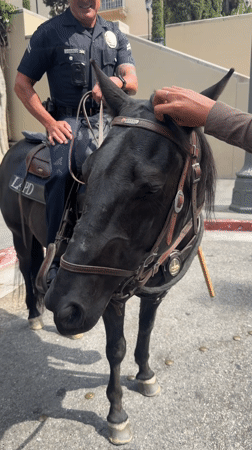 LAPD mounted officer conducts routine patrol in downtown Los Angeles