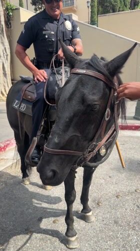 LAPD mounted officer conducts routine patrol in downtown Los Angeles