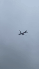 Aircraft landings captured by witnesses in Sofia