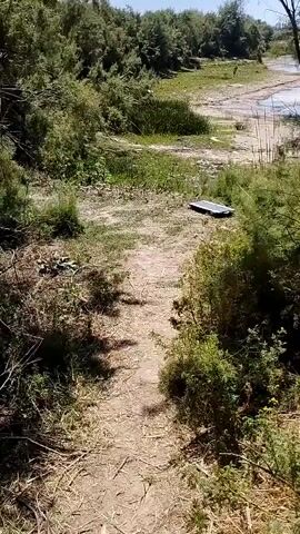 A dirt path leads towards a body of water surrounded by vegetation. A black solar panel lies on the ground next to the path, near the water's edge. The sky is blue and clear.