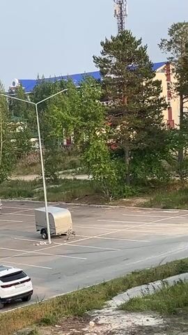 A small, light-colored trailer is parked in a parking lot. A white car is parked in the foreground. Trees and buildings are visible in the background. A cell tower is visible above the trees. The sky is clear.