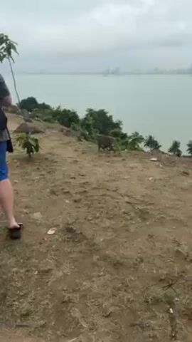The video shows a landscape with a body of water in the background, the horizon marked by indistinct city buildings. The foreground is elevated ground covered with sparse vegetation and a scattering of litter. A monkey, carrying a smaller monkey on its back, walks across the ground towards a cluster of rocks and other monkeys in the middle distance. A person is partially visible on the left side of the frame, with a bag on their back. The sky is overcast, suggesting an overcast day.