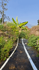 Rural Prigen: farmland, banana groves, and mountain views