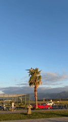 Low-flying plane over Batumi's coast, caught from two angles