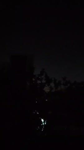 The video captures a dark outdoor scene at night. In the foreground, silhouettes of trees and foliage obscure the view. In the background, faint lights from buildings and possibly streetlights are visible, creating a bokeh effect. The overall atmosphere is dark and somewhat mysterious, with minimal detail discernible due to the low light conditions.