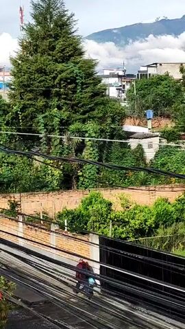 The video shows a partial view of a town or neighborhood, captured from a slightly elevated vantage point, possibly a building or hill. In the foreground, there are dense, green trees and foliage along with power lines that cross the frame. A partially visible brick wall and a black metal fence are also present.

In the midground, there are several residential buildings, varying in size and architectural style.  The buildings appear to be closely packed together.

In the background, a majestic mountain range is visible, partially obscured by a layer of clouds. The peaks of the mountains are snow-capped. The sky is overcast, with a predominantly gray and cloudy expanse.

The overall impression is of a town nestled in a mountainous region, with lush greenery intermingling with the built environment.