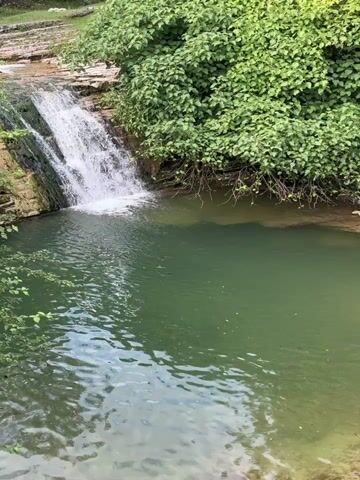 A small waterfall cascades into a clear, green pool of water. The pool is surrounded by lush green trees and rocky ledges. Sunlight filters through the trees, creating dappled light on the water. The scene is peaceful and natural.