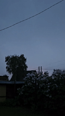 Beekeeper works under stormy skies in Russian town