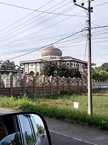 The video pans across a street scene, showing a large building with a domed roof, possibly a mosque or palace, behind an ornate fence. The fence features decorative metalwork and stone pillars. There are also some smaller structures, including a temporary-looking stall with corrugated metal walls. The view appears to be from a moving vehicle, as indicated by the reflection in the rearview mirror. Electrical wires are visible overhead. The environment is somewhat overgrown with grass and bushes along the roadside.