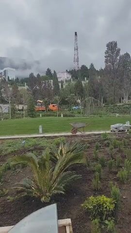 The video presents a landscape scene under an overcast sky. In the foreground, there is freshly tilled soil with newly planted greenery. To the left, wooden pallets are stacked. Beyond the tilled area is a well-manicured lawn interspersed with trees. In the middle distance, an orange truck is visible. In the background, there are buildings situated on a hillside, partially obscured by mist.  A tall, lattice tower rises from the hill. A wheelbarrow sits idle on the lawn. A large white bag rests on the ground next to a coiled orange hose. The scene appears to be a park or garden undergoing landscaping.