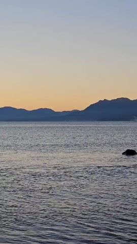 The video shows a body of water with distant mountains in the background. The sky is a soft gradient of blue and orange, suggesting either sunrise or sunset. Initially, there's a dark object, possibly a rock or animal, visible in the water. As the video progresses, the camera slowly pans to reveal a snow-capped volcano in the distance, with some signs of civilization, possibly buildings, along the shoreline. The water has slight ripples, indicating a gentle breeze.