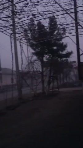 The video presents a blurred and shaky view of a residential area shrouded in fog. The foreground features a skeletal metal structure, possibly for growing vines, which partially obscures the view. Behind it, one can discern houses and trees rendered indistinct by the heavy fog. One building features a gate lit by an internal light. The overall atmosphere is dark and muted. The camera is moving, suggesting the video was taken while walking or driving.
