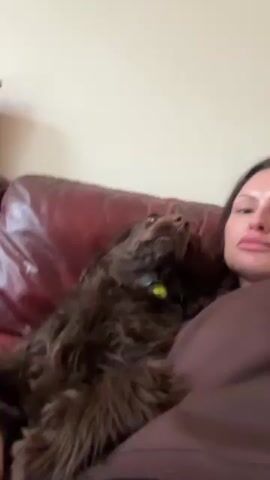 A woman with long dark hair is lying on a red leather couch with a dark brown, furry dog nestled on top of her. She's wearing a brown long-sleeve shirt. The camera is handheld and slightly shaky. The dog looks up at the camera, sticks its tongue out, and pants. The woman smiles at the camera.