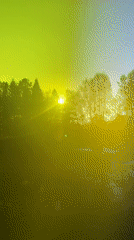 Spring afternoon birch tree observation session in Verkh-Neyvinsky, Russia