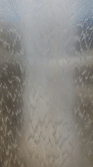 Rain Vortex waterfall at Singapore's Changi Airport documented by witnesses