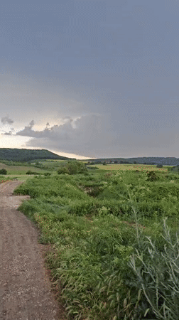 Rural area witnesses record scattered daily scenes May 31