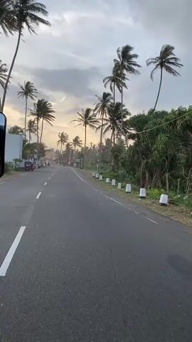 The video is a point-of-view shot from a vehicle traveling on a paved road lined with numerous tall palm trees on the right side and some buildings and trees on the left. The sky is overcast with clouds, and the lighting suggests it is either early morning or late afternoon. There are a few motorcycles and people visible on the road in the distance. The road has white dashed lines dividing the lanes. The overall environment appears to be a tropical coastal area.
