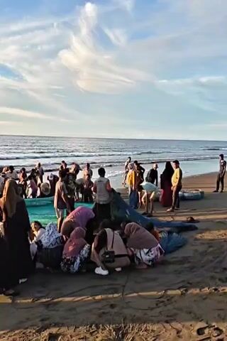 The video shows a sandy beach with the ocean in the background. A group of people, appearing to be mostly women and children, are gathered on the beach. Some are wearing hijabs. They are clustered around a large, blue-green tarpaulin, which is spread out on the sand. Some individuals are crouching or bending over the tarpaulin, and it appears they are interacting with something underneath or within it. There is fishing net and equipment to the left of the group. The sky is blue with wispy white clouds, and the sun appears to be setting, casting a warm light on the scene. The waves are gently rolling onto the shore.