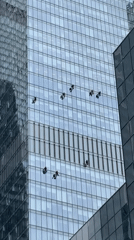 Woman documents Moscow business district tour, captures window cleaners