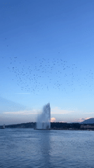 Rides and lakeside views at La Grande Roue de Genève