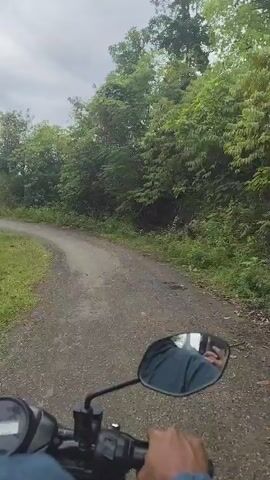 A first-person perspective video shows a person riding a motorcycle on a dirt road surrounded by lush green trees and foliage. The sky is overcast, suggesting a cloudy day. The road appears to be unpaved and somewhat uneven, with visible tire tracks. In the rearview mirror, a reflection of the rider wearing a blue shirt is visible. Telephone poles are visible in the distance on the right side of the road. The motorcycle's handlebars and a portion of the rider's left hand are in the foreground. The video captures the motion of the motorcycle as it navigates the winding road through the natural landscape.