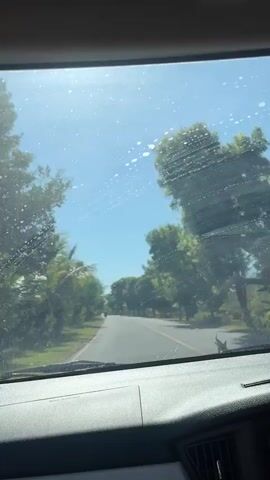 The video shows a view from inside a car looking out through the windshield. The windshield has streaks and water spots on it. A two-lane paved road stretches into the distance, lined on both sides by lush green trees and some palm trees. The sky is clear and blue, with bright sunlight creating glare on the windshield. A person on a motorcycle is visible on the road ahead. The interior of the car, including the dashboard, is partially visible in the foreground. The overall scene depicts a sunny day drive through a tropical or subtropical environment.