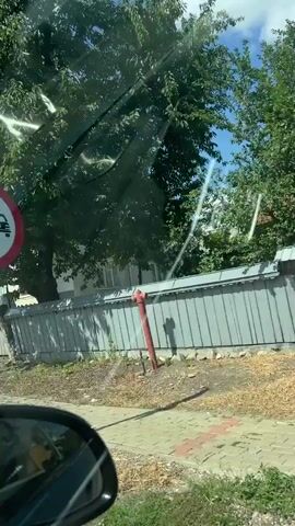 The video shows a view from inside a vehicle looking out at a residential street on a sunny day. The camera pans across houses and fences. The first house visible is a two-story light-colored building with a gray metal fence. Next, a yellow house with a green roof and trim is seen behind a dark wooden fence. Another house with a red roof and wooden siding is visible with a white metal gate. Finally, a single-story house with a white roof and a dark metal fence is shown. The street appears to be unpaved or gravel. There are trees and vegetation along the street. The sky is blue with scattered clouds.