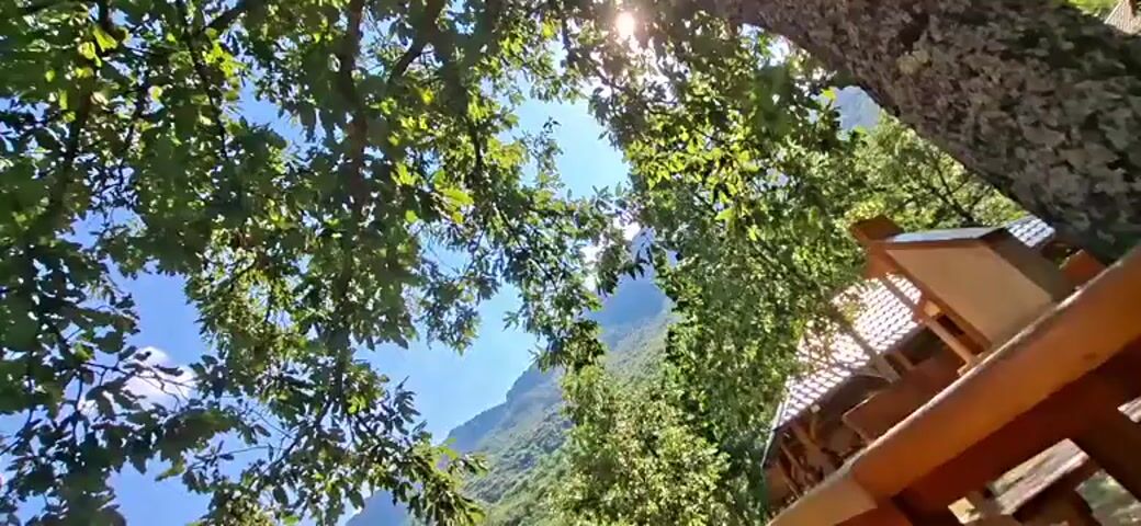The video shows a low-angle shot looking up through the leaves and branches of a large tree. The sun is visible through the foliage, creating a lens flare effect. The sky is blue with some scattered clouds. In the lower right corner of the frame, a portion of a wooden structure, possibly a roof or a gazebo, is visible. In the background, a distant mountain range can be seen. The scene appears to be outdoors in a natural setting.