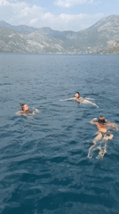 Swimming in the Bay of Kotor, Perast on a clear summer day