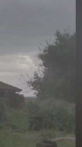 The video presents a landscape under a cloudy sky. In the lower left corner is a section of a crumbling brick building with a partial thatch roof. The scene is filled with tall, overgrown grass and foliage. To the right, a dense tree stands with many of its branches bare, hinting at a transition of seasons. The sky is overcast with a dominant grey color, indicating potential rain or a storm. A voice, possibly that of a child, can be heard in the background, adding to the sense of domesticity amidst the rustic environment.