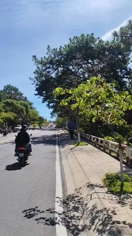 The video depicts a bright, sunny day scene. A road runs along the left side of the frame, where two scooters are visible, moving in the same direction.  On the right side of the road, a sidewalk is present, next to a low, decorative fence. A person walks along the sidewalk holding an umbrella, presumably for sun protection. Lush trees with green foliage line both sides of the road, providing shade. The sky above is a clear blue with a few scattered clouds. The overall impression is that the video captures a peaceful street scene in a location with ample greenery.
