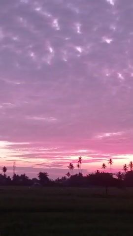 A video captured from a low angle shows a vast expanse of purple and pink clouds covering the sky. The clouds are textured with white highlights, suggesting a sunset or sunrise. Below the sky, a dark silhouette of trees, including palm trees, stretches across the horizon. A faint outline of a village or settlement is visible behind the trees. In the foreground, a dark green field occupies the bottom portion of the frame, with a thin black line, possibly a fence or wire, running horizontally across it. The overall scene is serene and evokes the natural beauty of twilight.