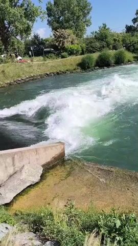 The video shows a body of water with turbulent white waves being released from a concrete structure. The water is a greenish color and appears to be flowing rapidly. The surrounding environment is green, with trees and bushes visible on both sides of the water. A concrete platform sits above the water, leading to a stone structure extending into the water. The sky is blue. The water release is causing significant churning and foaming in the body of water. In the background, there are parked cars.