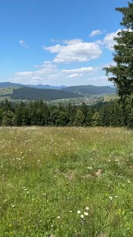 A bright, clear day with a blue sky filled with fluffy white clouds. The video looks out over a vast, green meadow dotted with wildflowers. Beyond the meadow, a dense forest of dark green trees stretches across rolling hills. In the distance, more mountains can be seen, with hints of a town nestled in the valley between them. The overall scene is one of natural beauty and tranquility.