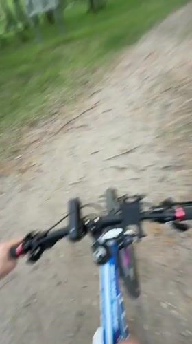 Cyclist rides blue mountain bike through forest path in Tyumen
