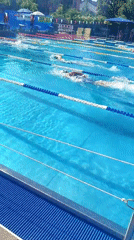 Outdoor swim meet in progress, lanes full and poolside busy