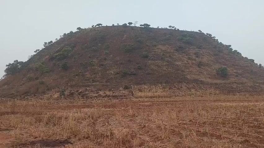 The video shows a brown, dome-shaped hill covered with sparse brown vegetation and a few small trees near the top and on the sides. The base of the hill is surrounded by a field of dry, brown grass. The sky is overcast and a pale gray color. The video is static, with no movement.