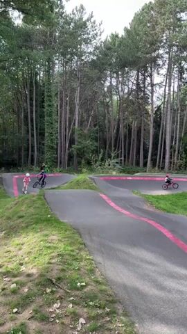 A video shows a pump track in a wooded area. The track is made of asphalt with pink markings and has several berms and rollers. A few children are riding bikes on the track. In the foreground, two children, one wearing a pink helmet, are walking their bikes. In the background, two children are riding bikes on the track. The trees are tall and slender, and the ground is covered in grass and fallen leaves. The sky is overcast.