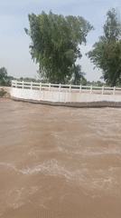 Morning Life Documented Across Rural Punjab Towns in Pakistan