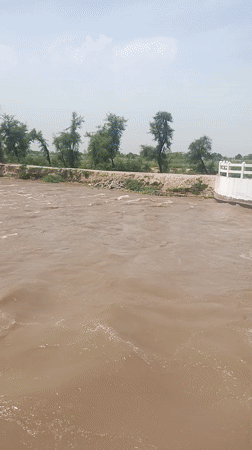 Morning Life Documented Across Rural Punjab Towns in Pakistan