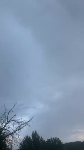 A vertical video shows a cloudy sky. The top of the frame is filled with a pale, overcast sky with some darker clouds visible in the distance. In the lower portion of the frame, the tops of trees are visible. To the left, there is a leafless tree with bare branches. To the right, there are several trees with dark green foliage. The overall impression is a gloomy, overcast day.