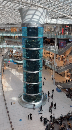 Shopping mall visitors document aquarium centerpiece in Khimki Russia
