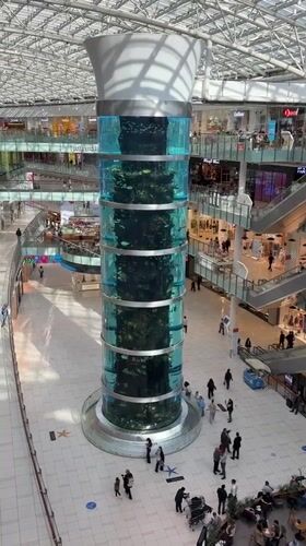 Shopping mall visitors document aquarium centerpiece in Khimki Russia