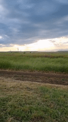Rural wildflower fields and evening meal documented in Blizhnee