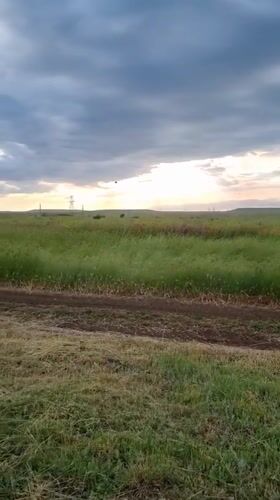 Rural wildflower fields and evening meal documented in Blizhnee