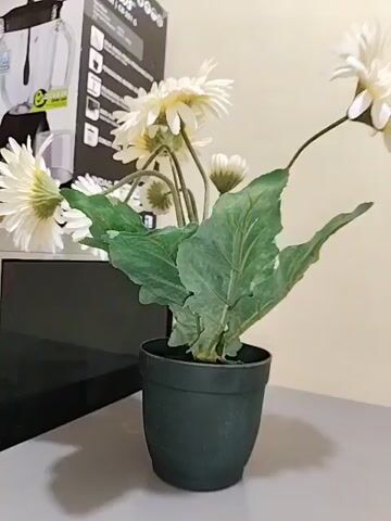 A potted plant with white flowers and green leaves sits on a grey surface. The plant is in a dark green pot. Behind the plant, there is a black and white box with text and images on it, appearing to be for a blender or kitchen appliance. To the left of the box is a white refrigerator. The background wall is a light, neutral color. The video shows the scene from a slightly low angle, with a shallow depth of field that blurs the background. The lighting appears to be artificial. There are no people or animals visible in the video.