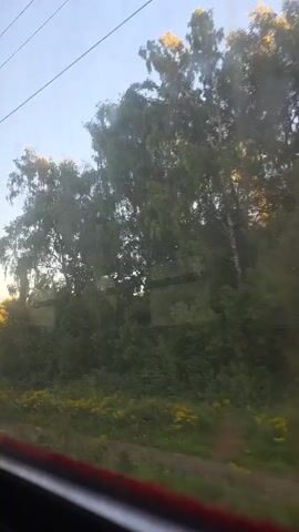 The video shows a view from a moving vehicle, likely a train, looking out a window. The scene outside is a rural landscape with trees and vegetation. A dirt road or path winds through a grassy area. In the distance, a small building or cabin is visible nestled among the trees. The sun appears to be low in the sky, casting a warm light on the foliage, suggesting it is either sunrise or sunset. The motion of the vehicle causes some blur, particularly on any objects close to the window, such as a dark vertical pole in the foreground.